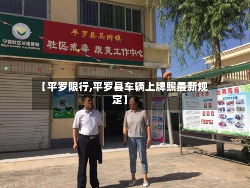 【平罗限行,平罗县车辆上牌照最新规定】