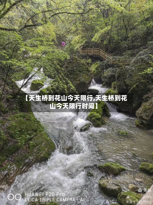 【天生桥到花山今天限行,天生桥到花山今天限行时间】-第2张图片