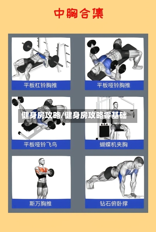 健身房攻略/健身房攻略零基础