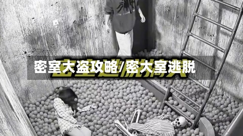 密室大盗攻略/密大室逃脱