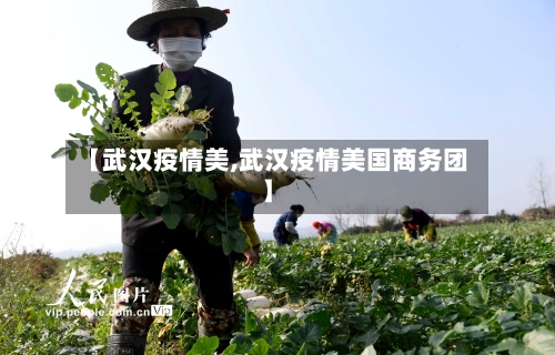 【武汉疫情美,武汉疫情美国商务团】-第2张图片