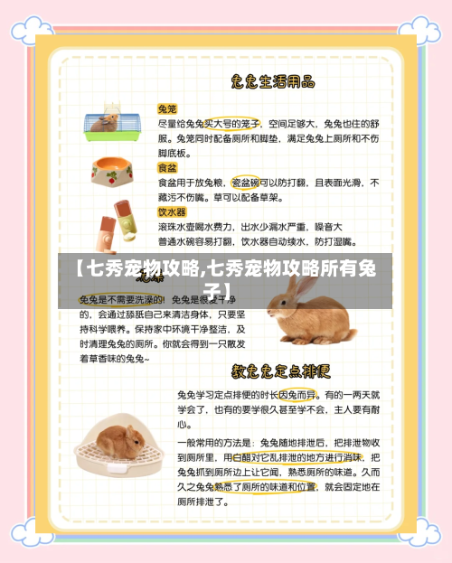 【七秀宠物攻略,七秀宠物攻略所有兔子】-第2张图片