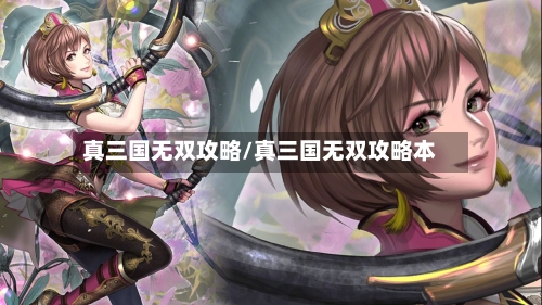 真三国无双攻略/真三国无双攻略本