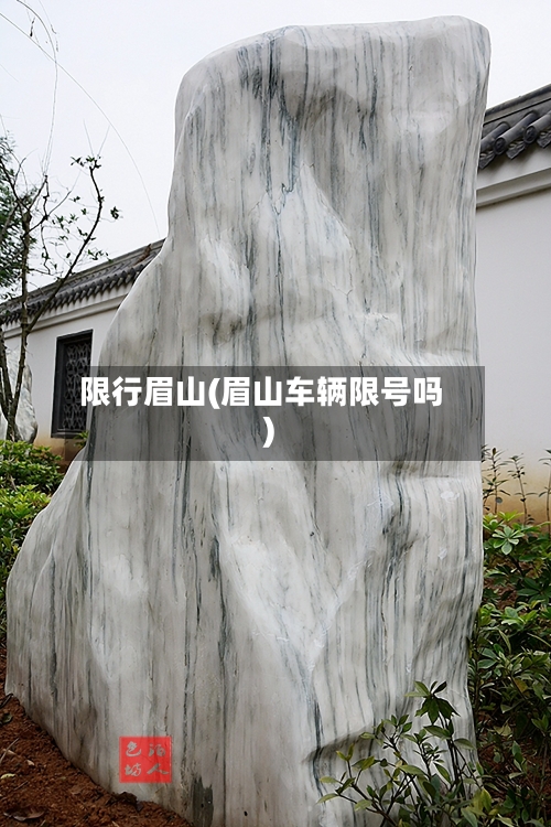 限行眉山(眉山车辆限号吗)