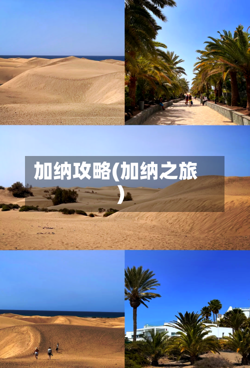 加纳攻略(加纳之旅)-第2张图片