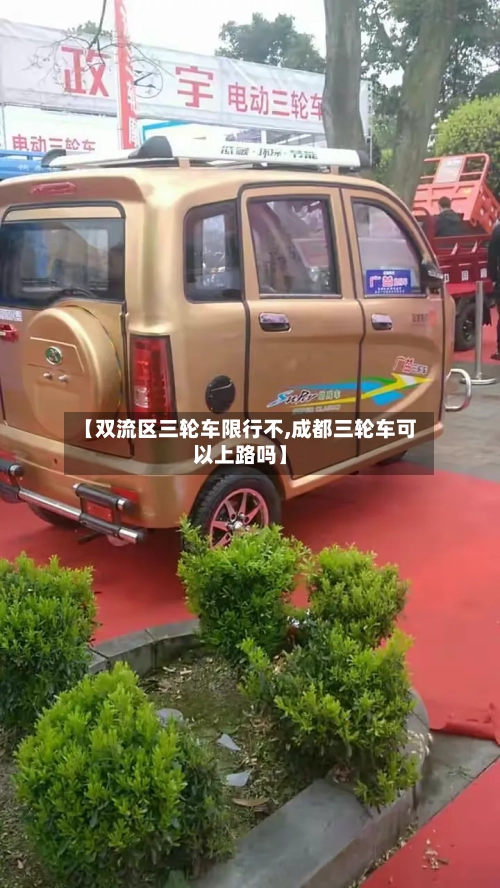 【双流区三轮车限行不,成都三轮车可以上路吗】
