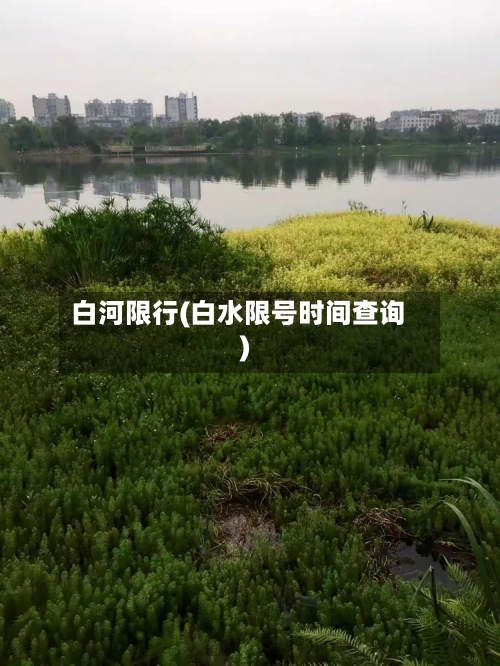 白河限行(白水限号时间查询)