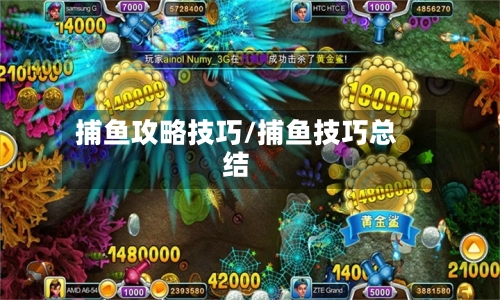 捕鱼攻略技巧/捕鱼技巧总结
