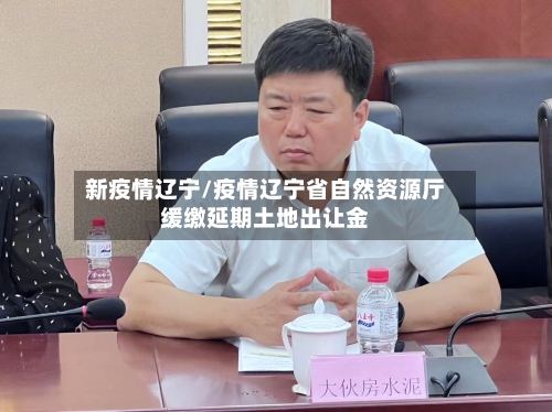 新疫情辽宁/疫情辽宁省自然资源厅缓缴延期土地出让金