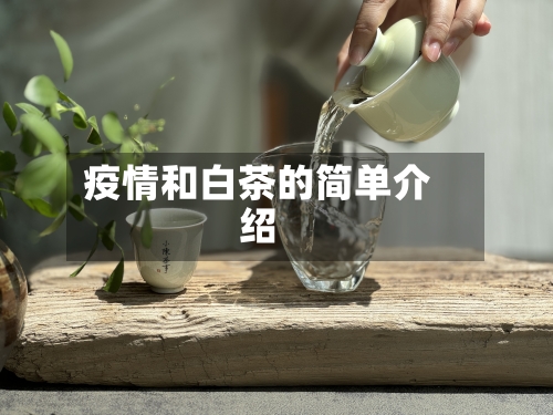 疫情和白茶的简单介绍